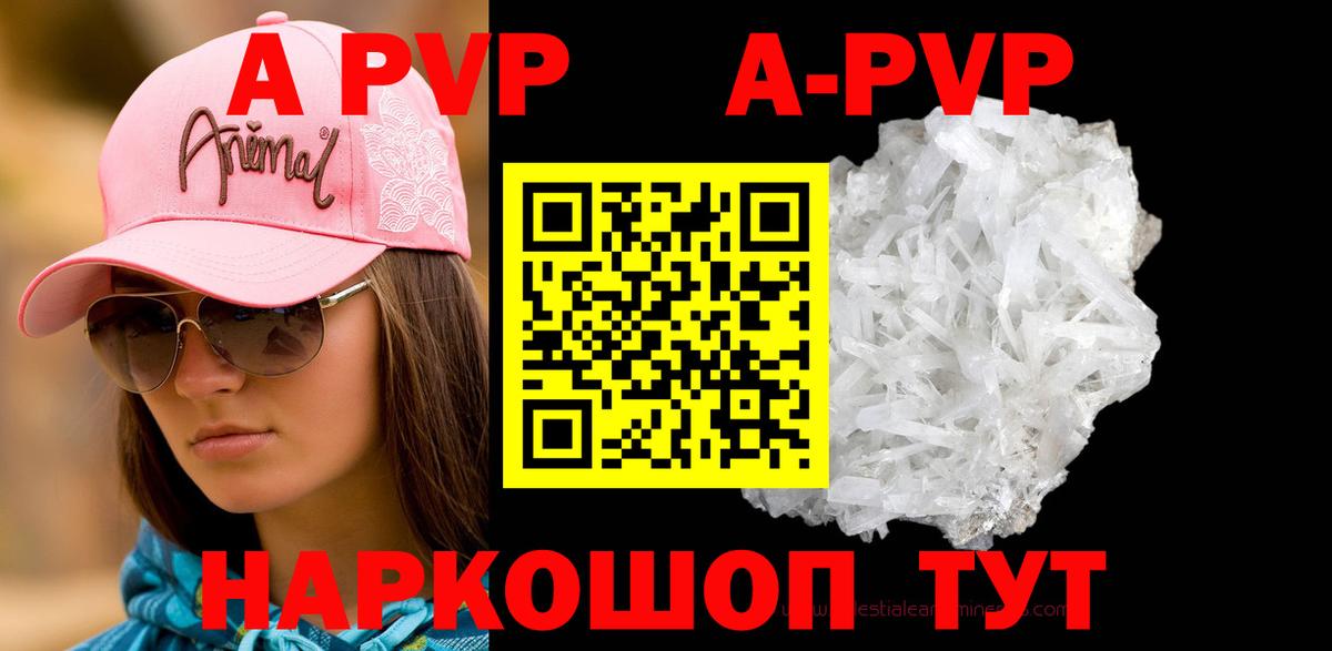 Alfa_PVP СК Мценск