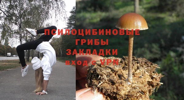 эйфоретик Лихославль