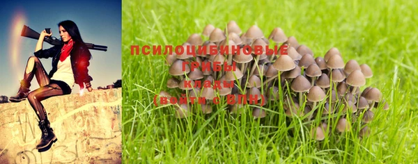 ECSTASY Лиски