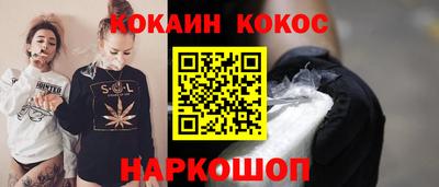 стафф Гатчина