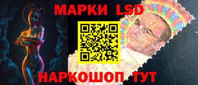 стафф Гатчина