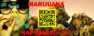 стафф Гатчина
