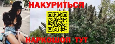 стафф Гатчина