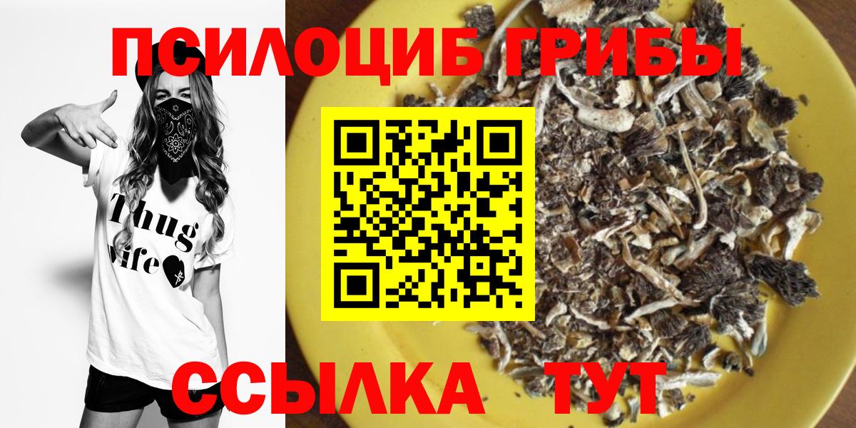 Псилоцибиновые грибы мицелий Мценск