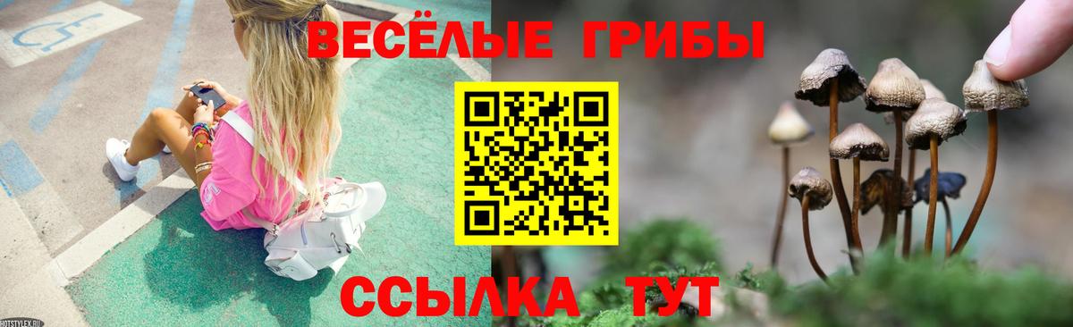 Псилоцибиновые грибы Psilocybe  Вход с VPN  Мценск  Псилоцибиновые грибы Magic Shrooms 